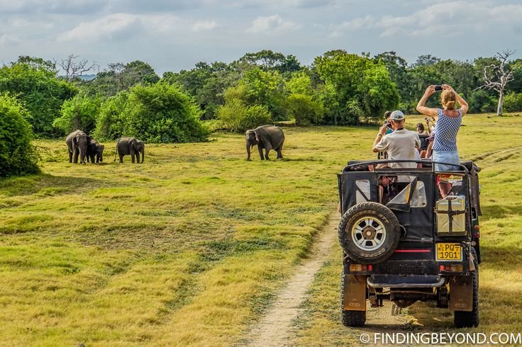 Kaudulla National Park